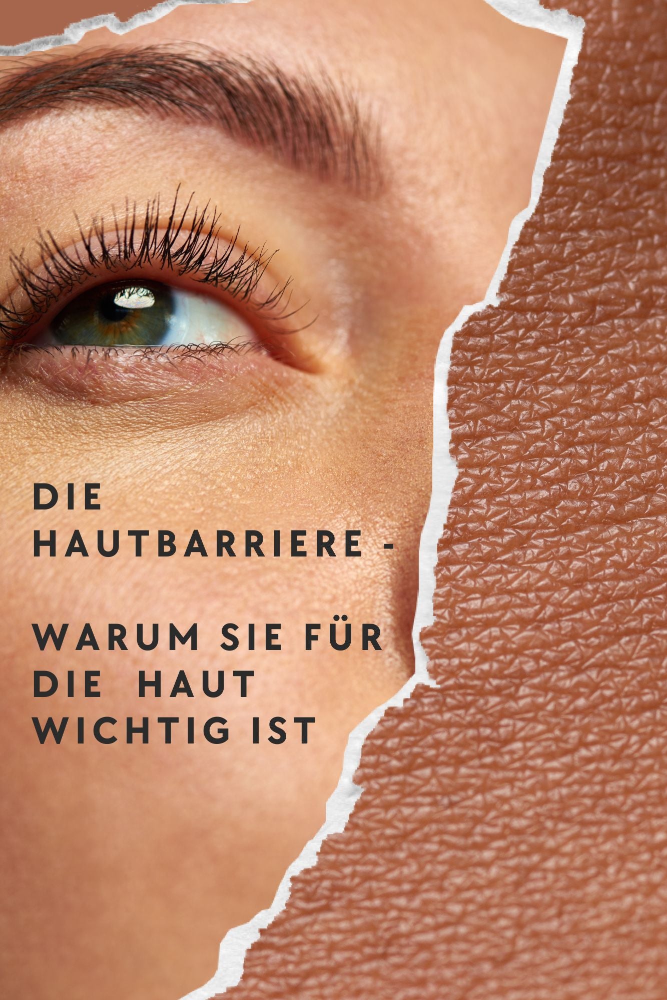 Die Hautbarriere - warum sie für Die Haut wichtig ist